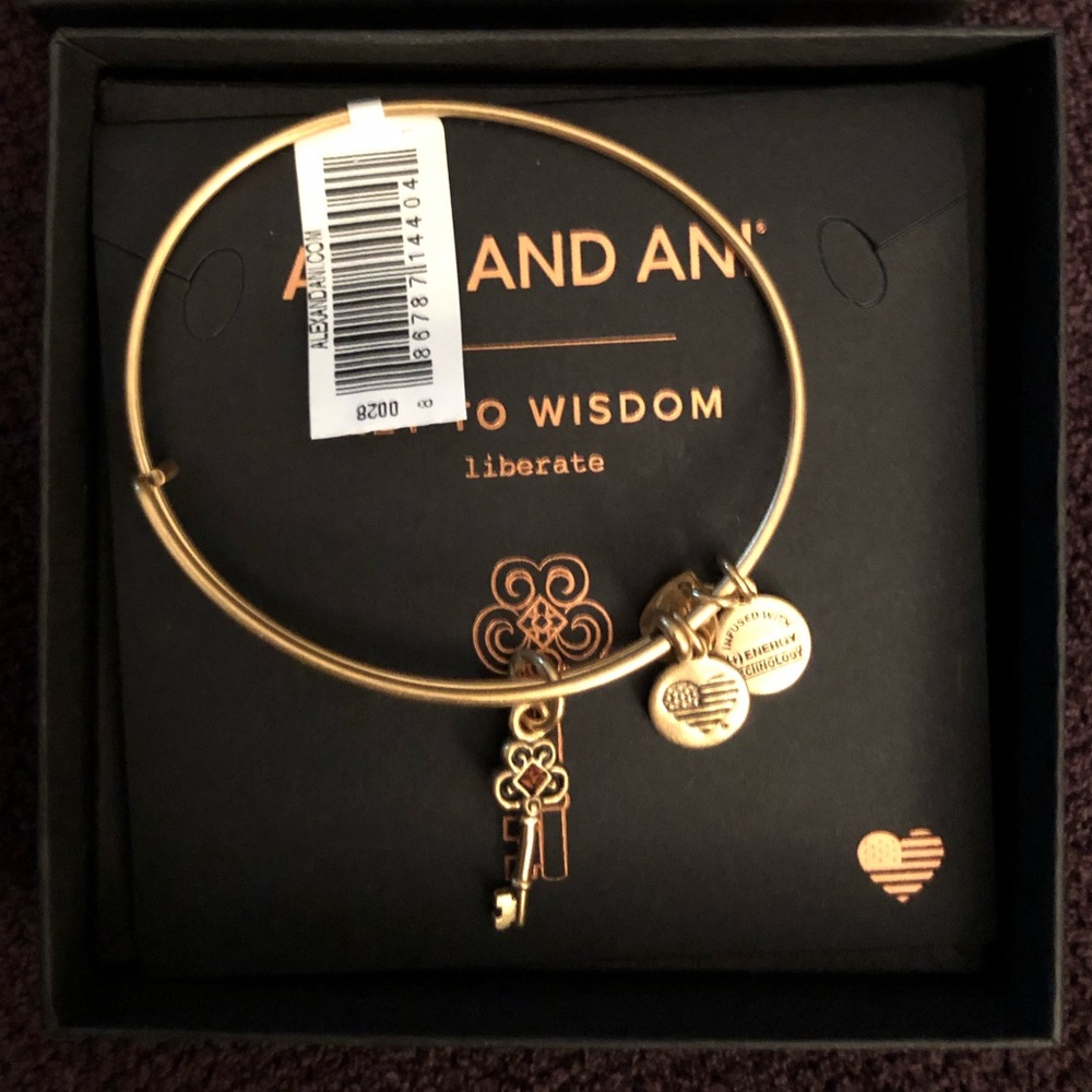 Alex and Ani Key to Wisdom Charm Bangle